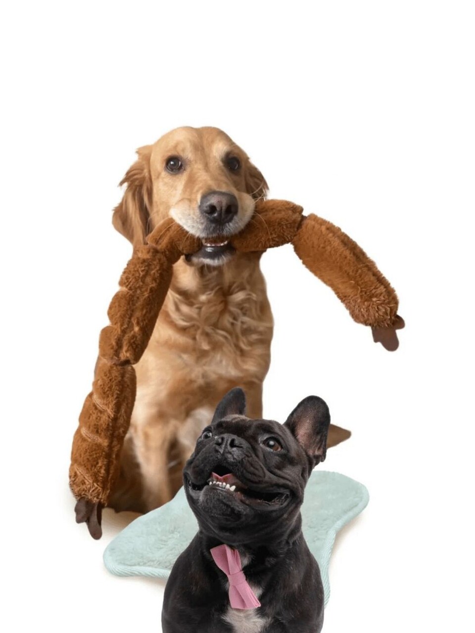 Jucărie pentru câini, Paws &amp; Whiskers, Havhav 1013, 100% MATERIAL TEXTIL PLUȘOS, Maro - imagine 4